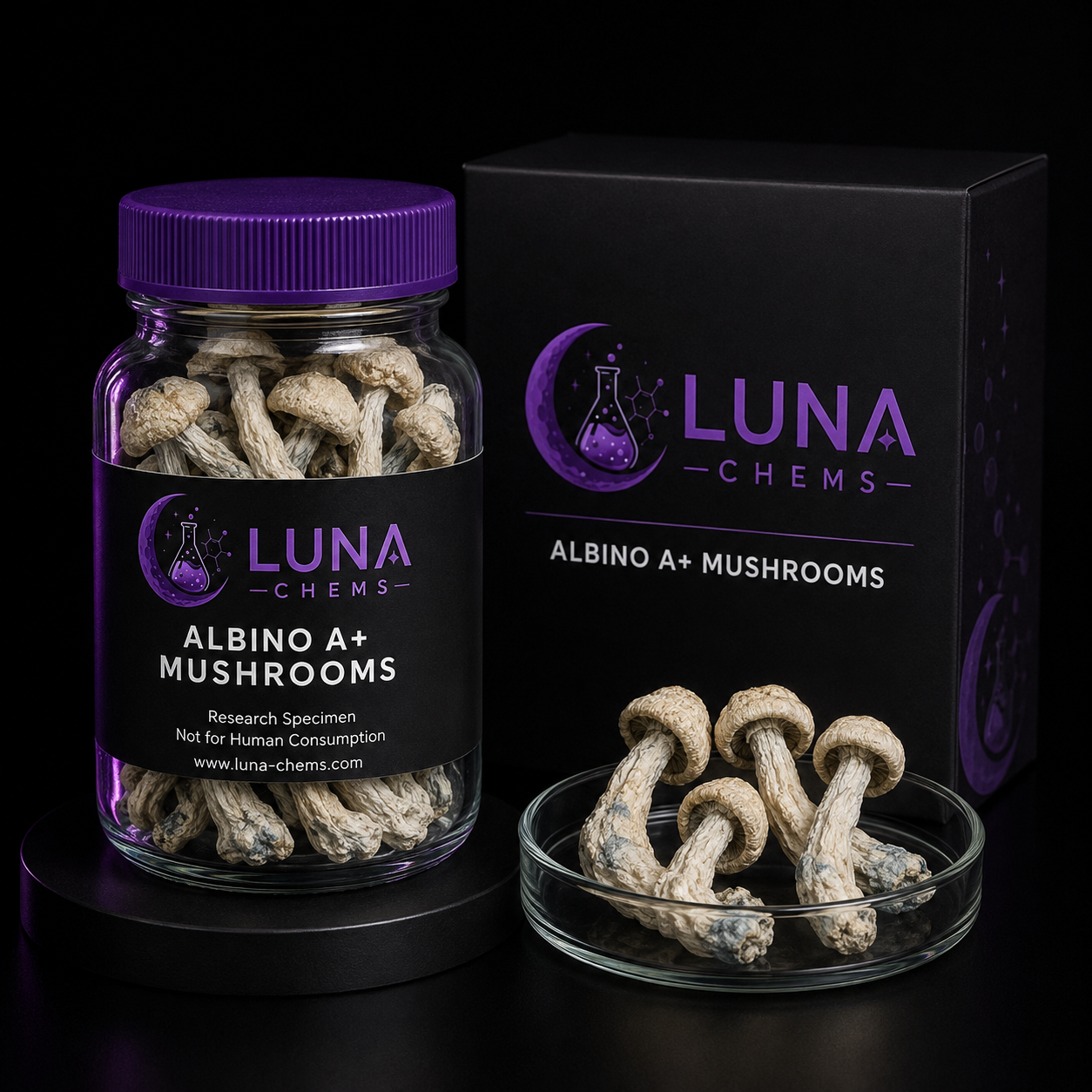 Albino A+ Mushrooms albino a+ mushrooms - Image 1
