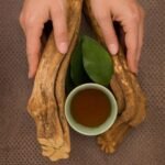 Ayahuasca kaufen
