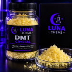 dmt kopen