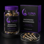 Buy mazatapec mushroom online