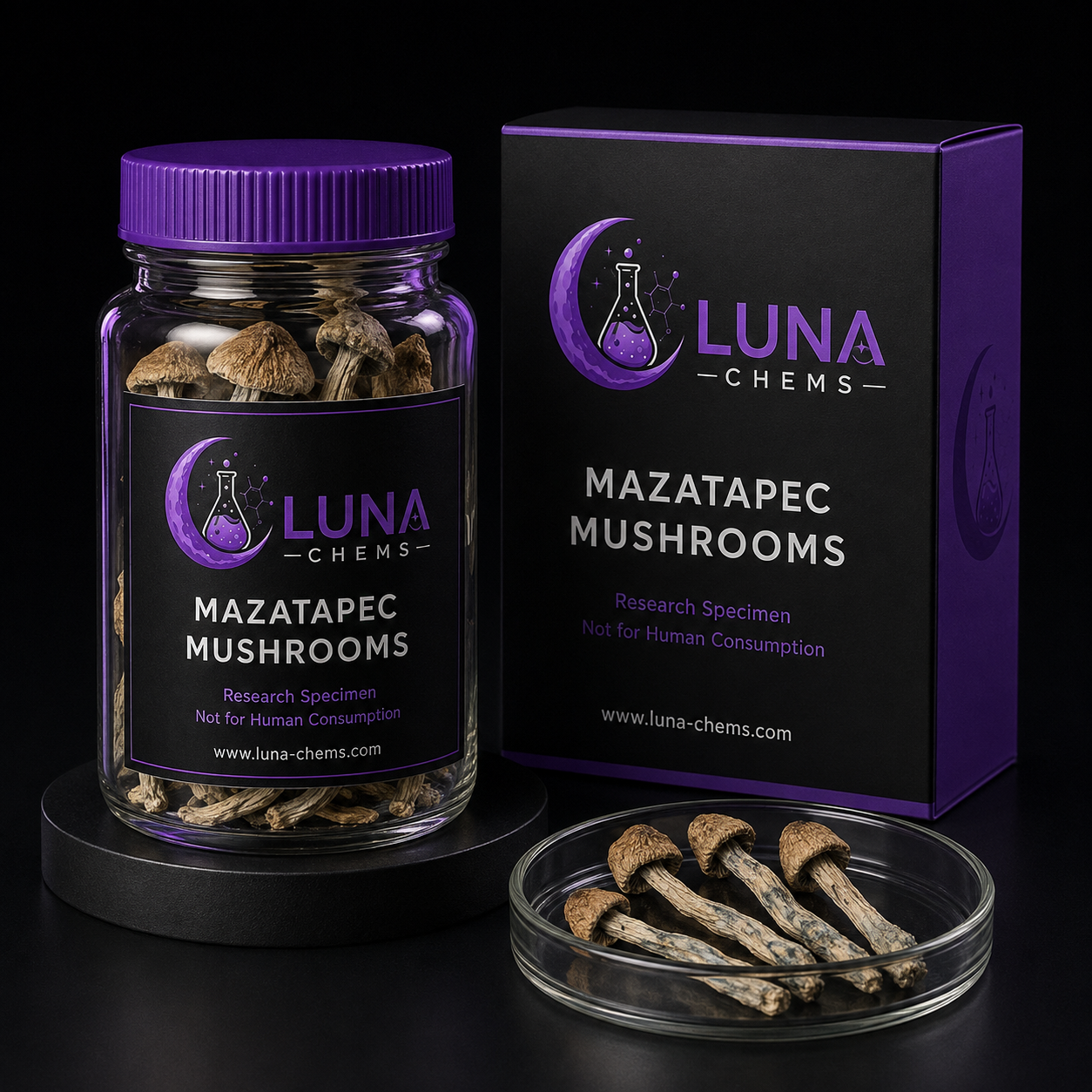 mazatapec mushroom Buy mazatapec mushroom online